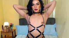 Small tits Asian amateur trans wanking on webcam show