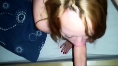 Amateur Homemade Blowjob With Cum Swallowing Finish