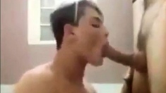 gay sucking